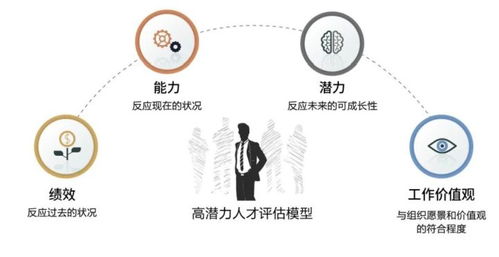 精準鎖定企業(yè)中的千里馬 人力資源咨詢服務(wù)的策略與路徑
